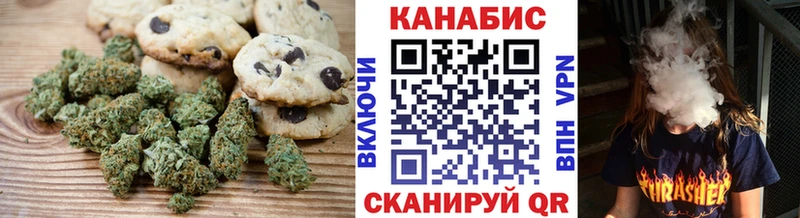 Купить где  Шилка  Canna-Cookies конопля 